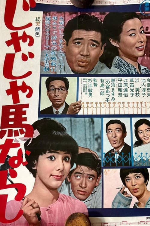Taming an Unruly Girl poster