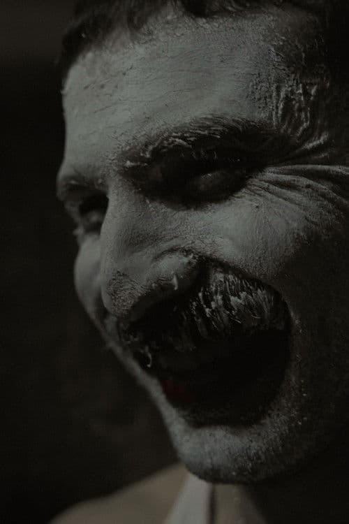 A Última Dança poster