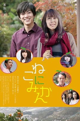 Tangerines on Cat poster