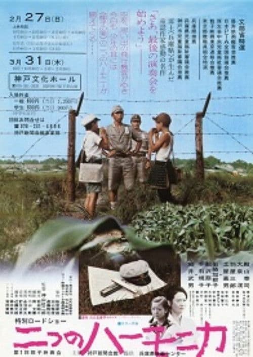 Two Harmonicas poster