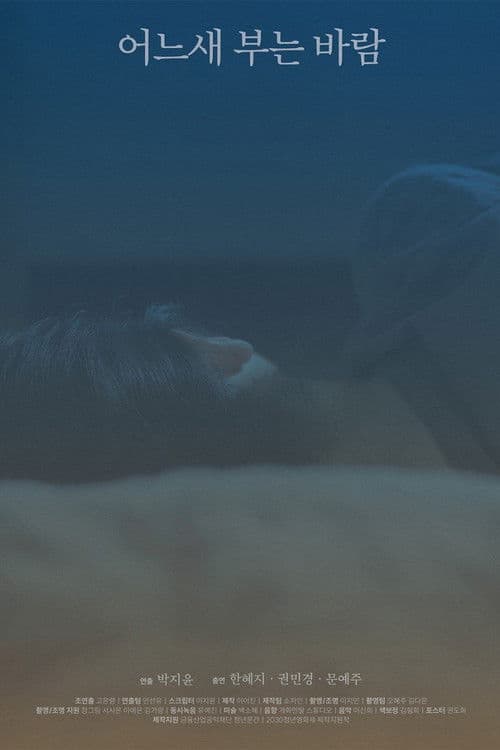 The Consolation of the Wind poster