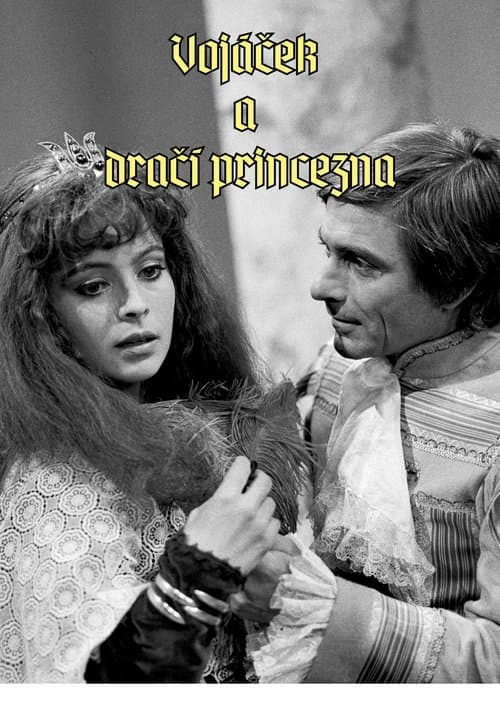 Vojáček a dračí princezna poster