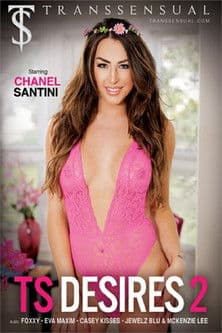 TS Desires 2 poster