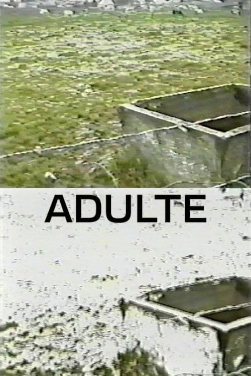 Adulte poster