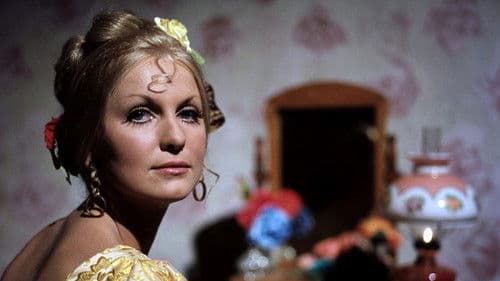 Krásná paní ševcová poster