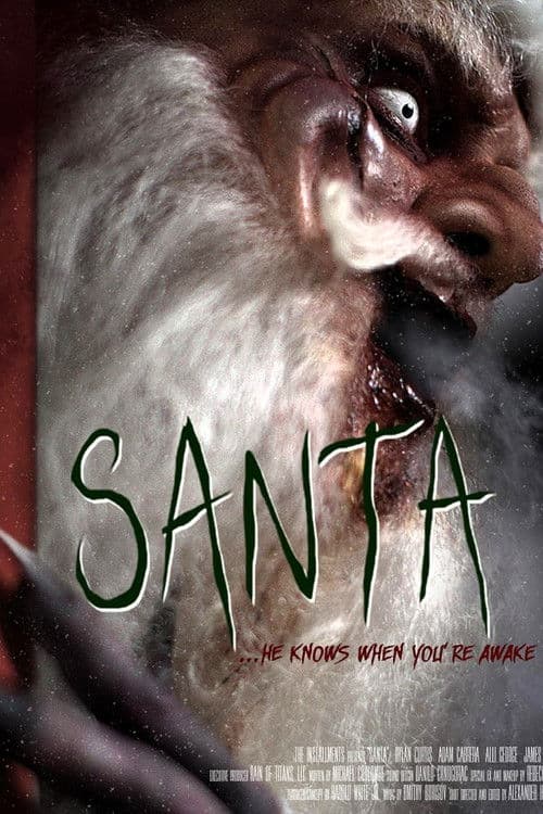 Santa poster