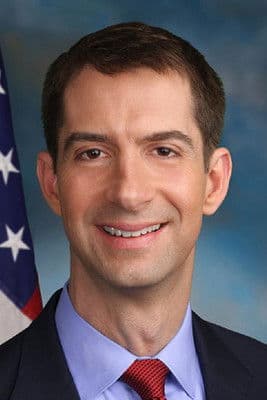 Tom Cotton profile photo