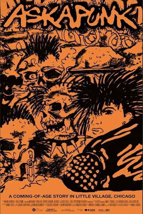 Ask A Punk poster