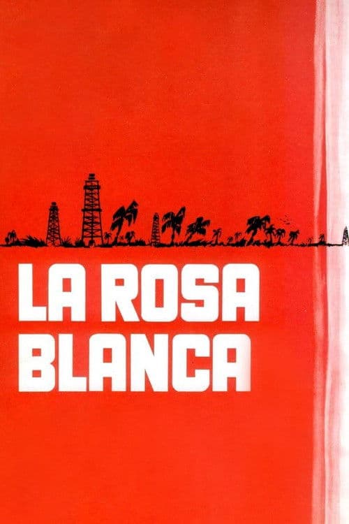 Rosa blanca poster