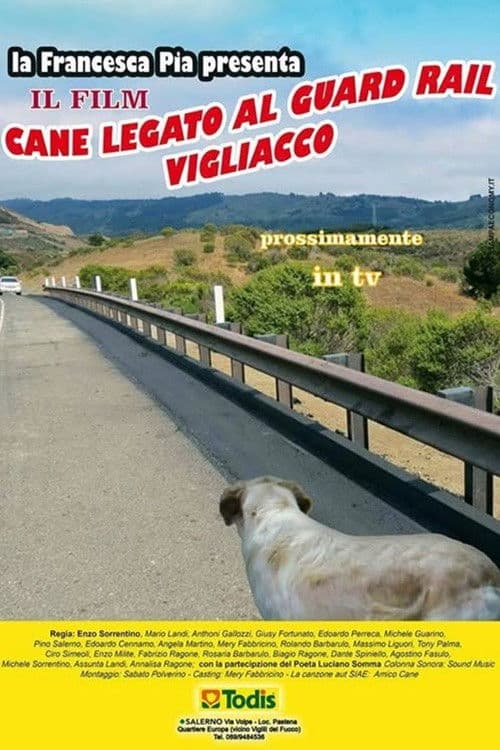 Cane legato al guard rail vigliacco poster