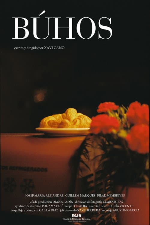 Búhos poster