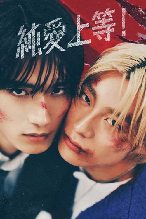 Love Punch! poster