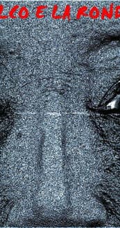 Il falco e la rondine poster