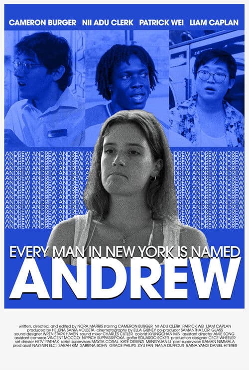 Every Man in New York Is Named Andrew poster