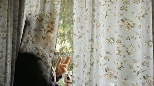 Wind Beneath the Wings poster