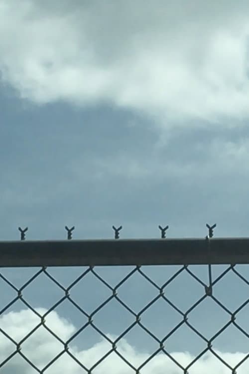 Voices at the Gate poster