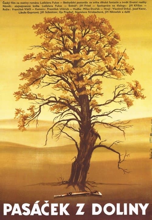 The Little Shepherd Boy from the Valley poster