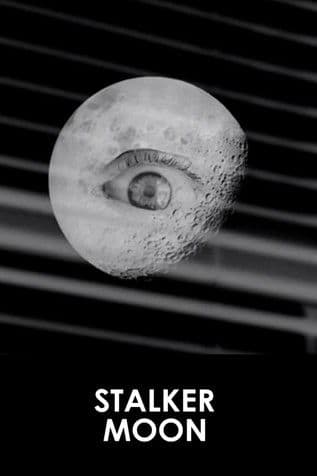Stalker Moon poster