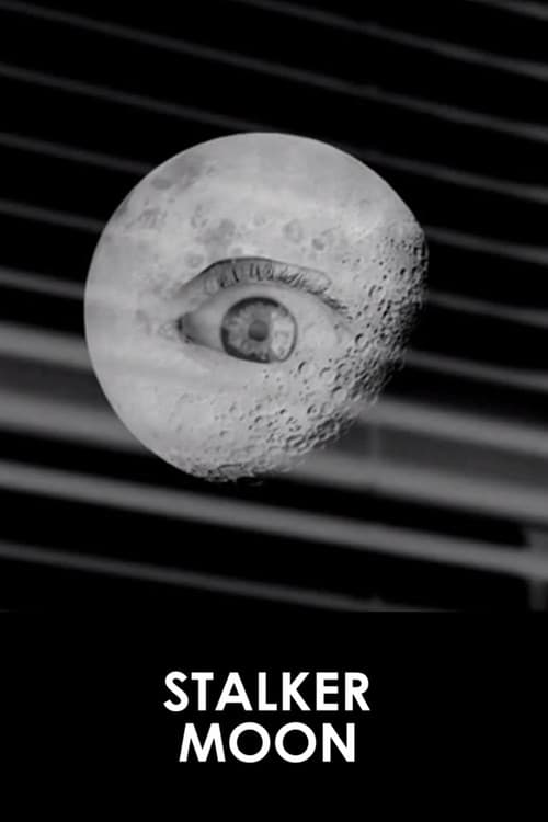 Stalker Moon poster