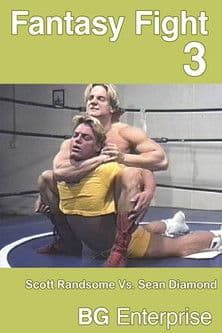 Fantasy Fight 3 poster