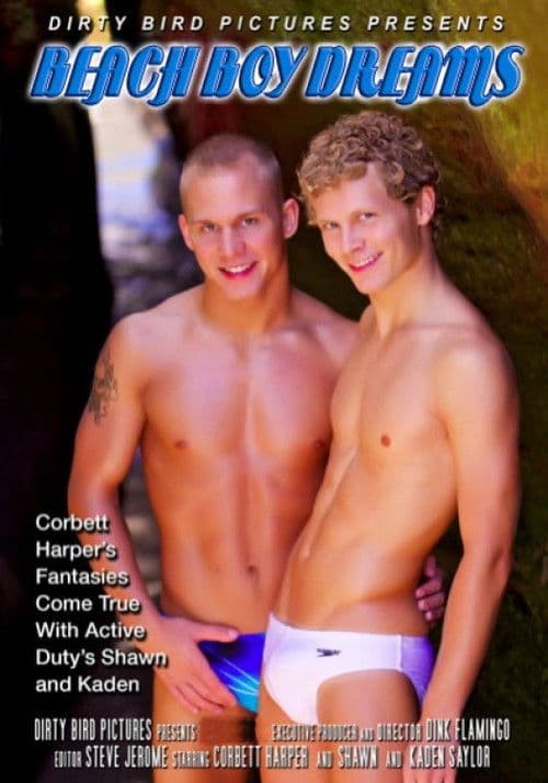 Beach Boy Dreams poster