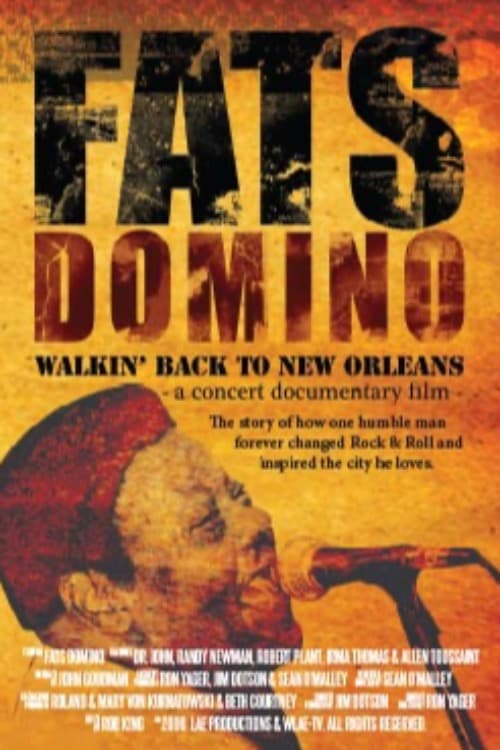 Fats Domino: Walkin' Back to New Orleans poster