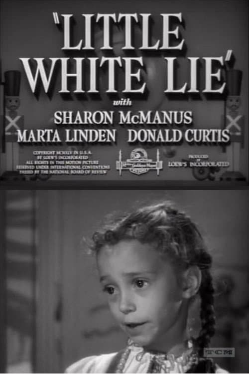 Little White Lie poster