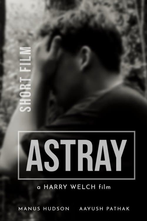 Astray poster