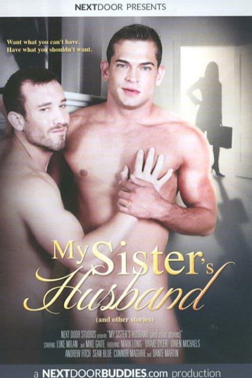 My Sister's Husband poster