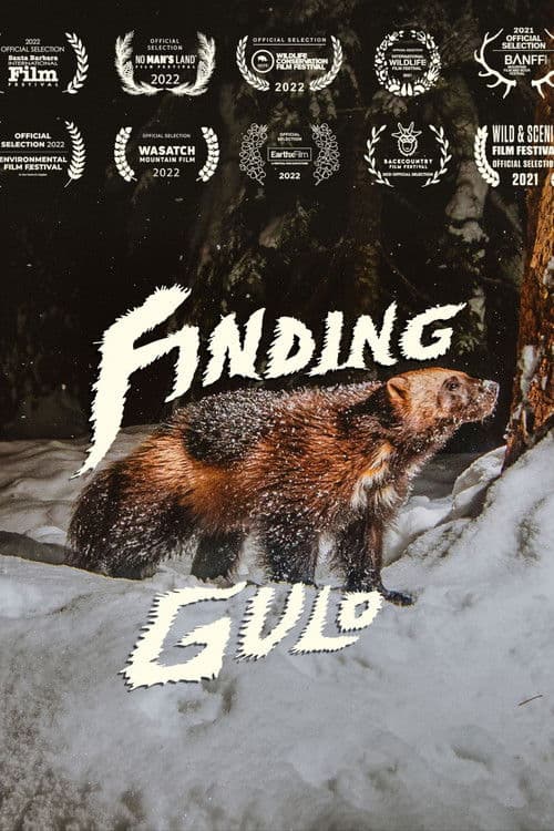 Finding Gulo poster