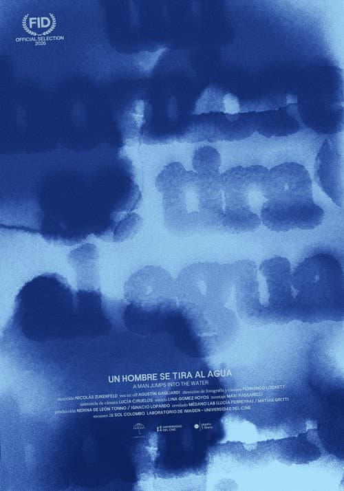 A Man Jumps into the Water poster