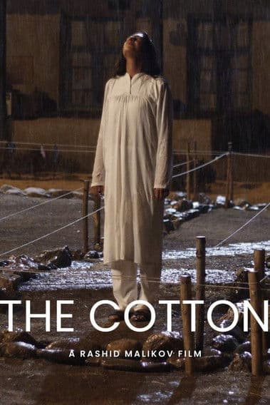 Cotton poster