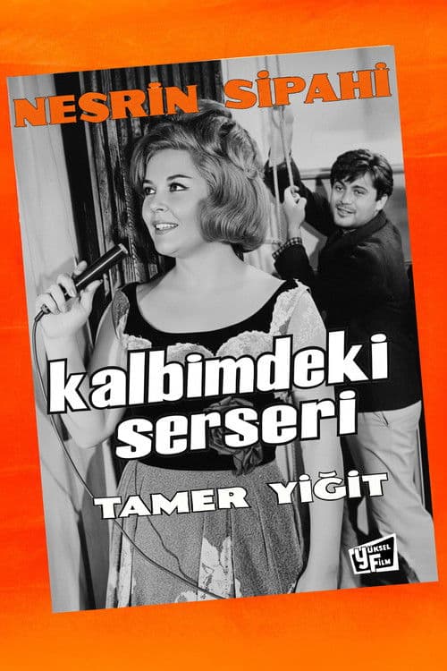 Kalbimdeki Serseri poster