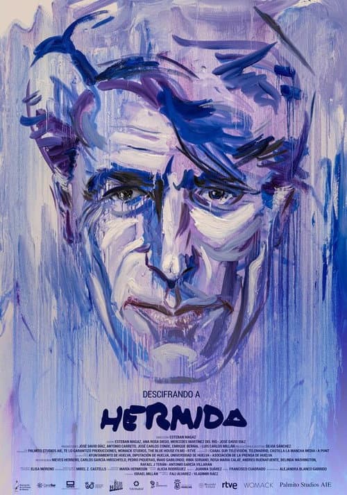 Descifrando a Hermida poster