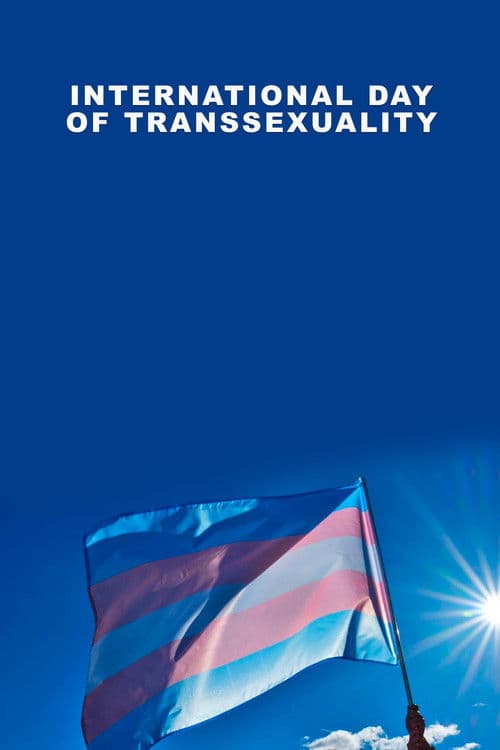 International Day of Transsexuality poster