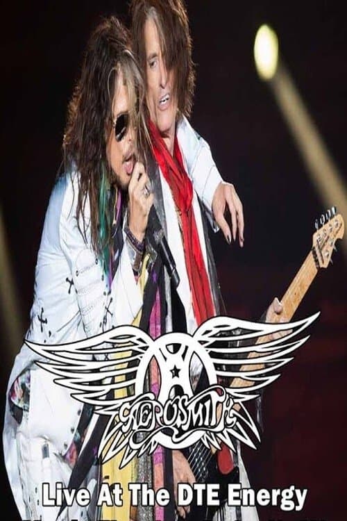 Aerosmith Live in Detroit poster