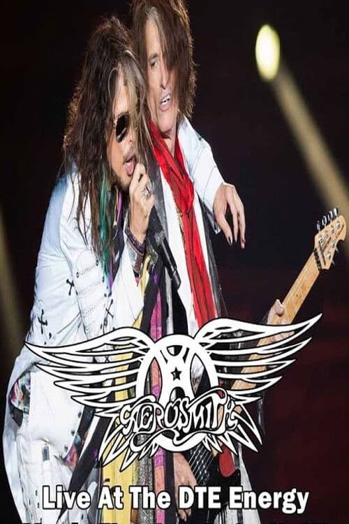 Aerosmith Live in Detroit