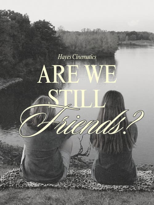ARE WE STILL FRIENDS? poster