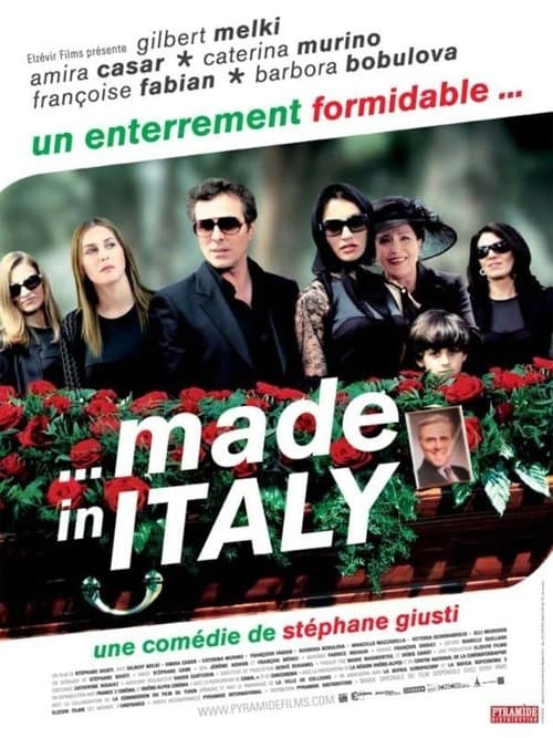 Made in Italy poster