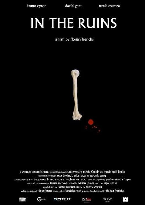 In the Ruins poster
