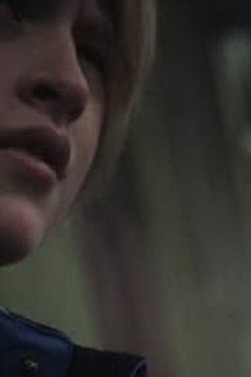 The Westerner poster