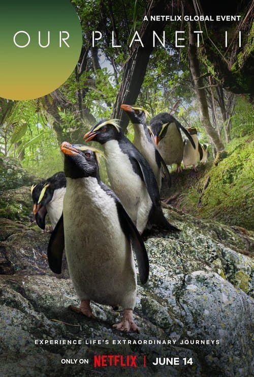 Our Planet II poster