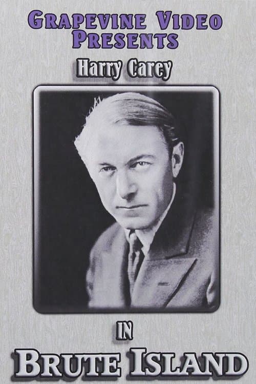 McVeagh of the South Seas poster