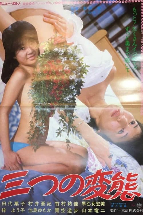 Three Pleasures poster