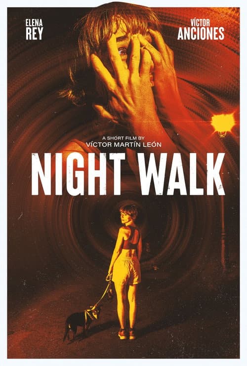Night Walk poster