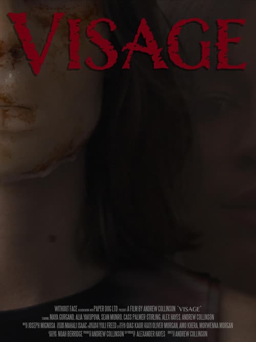 Visage poster