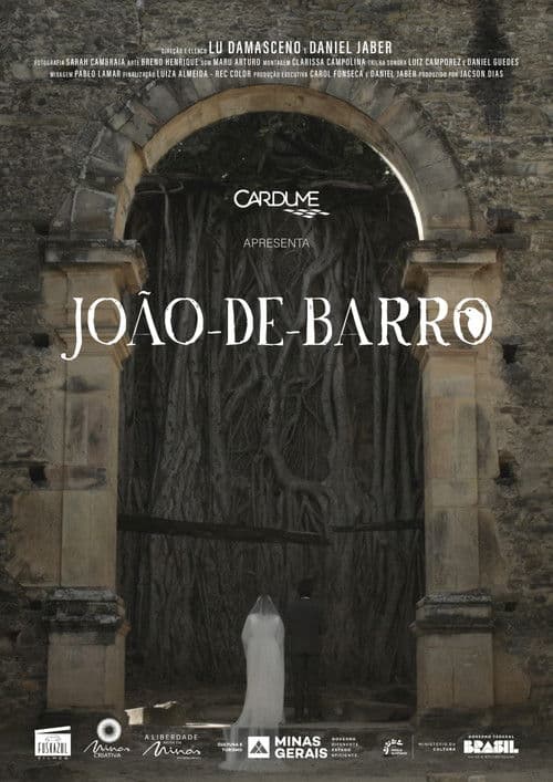João-de-Barro poster