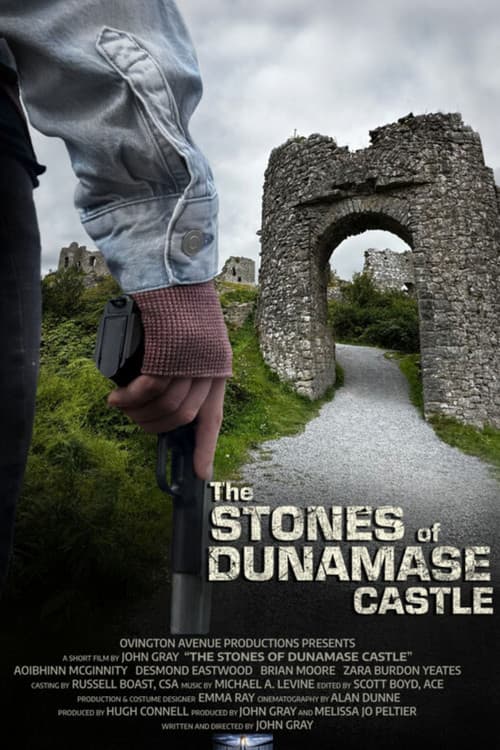 The Stones of Dunamase Castle poster