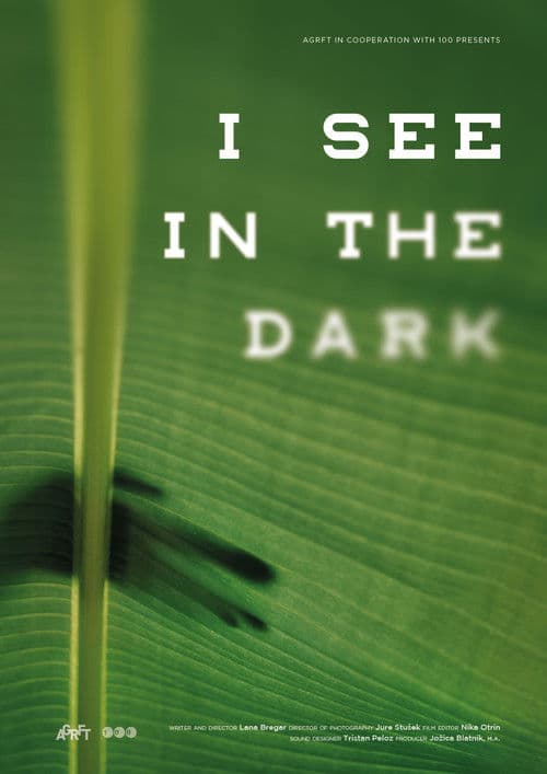 I See in the Dark poster