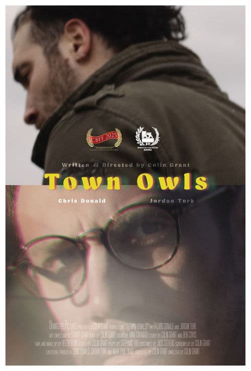 Town Owls poster